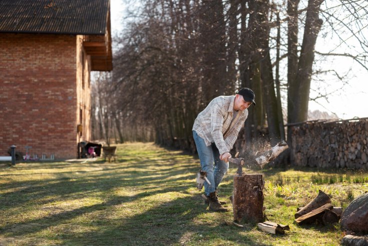 Is Stump Grinding Necessary After Tree Removal?